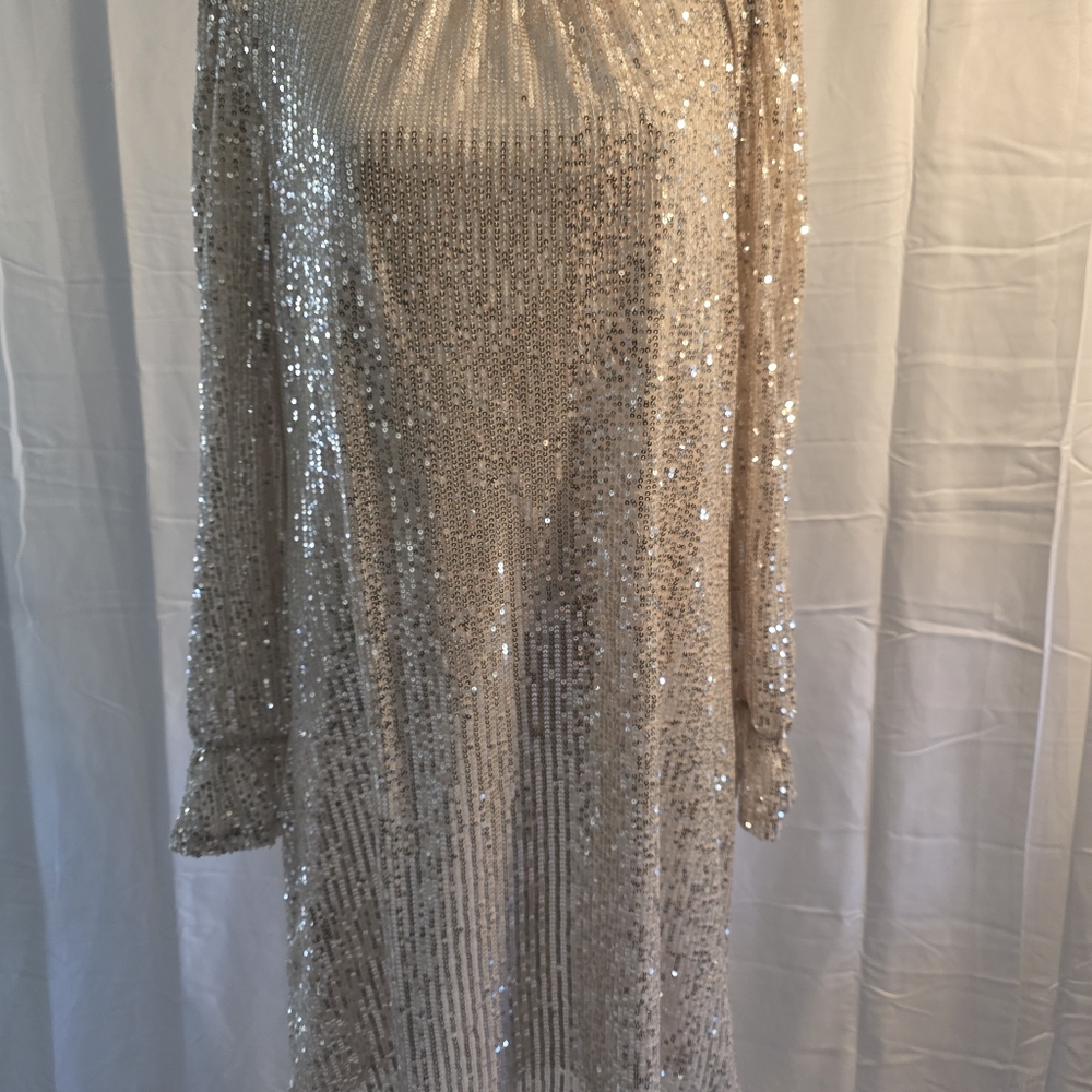 Julia Jordan Shimmering Silver Long Sleeve Dress